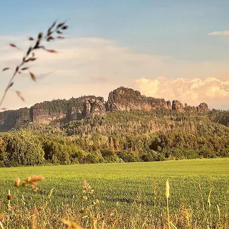 Wuff Altendorf * Sebnitz